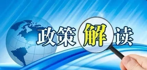 聚焦未來(lái)教育 教育部負(fù)責(zé)人深入解讀《中國(guó)教育現(xiàn)代化2035》及實(shí)施方案